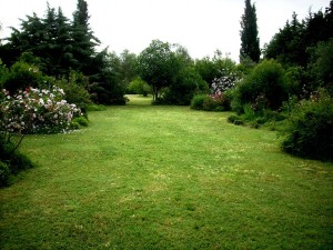 giardino-botanico 